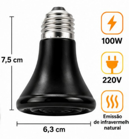 Lâmpada de aquecimento 100W/220V - 2